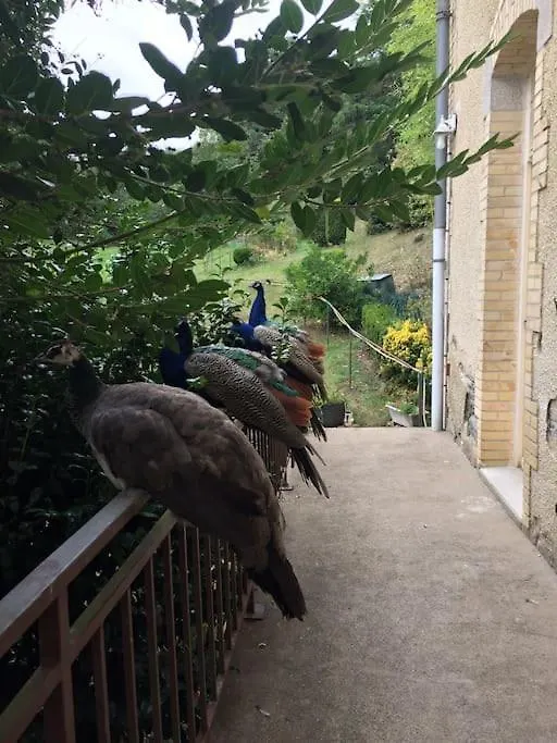 Maison De Charme, 14 Personnes, Vue Sur Le Canal Rohan Villa